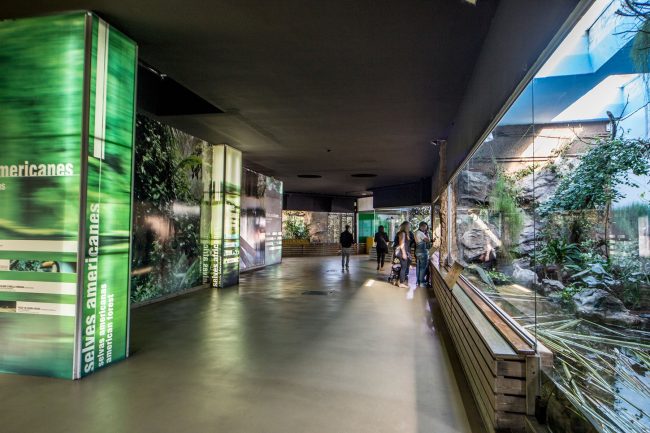 001_zoo_interiors_barcelona_location_bsm