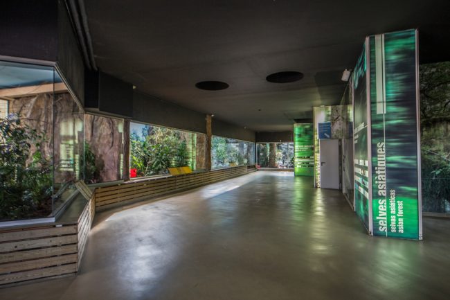 005_zoo_interiors_barcelona_location_bsm